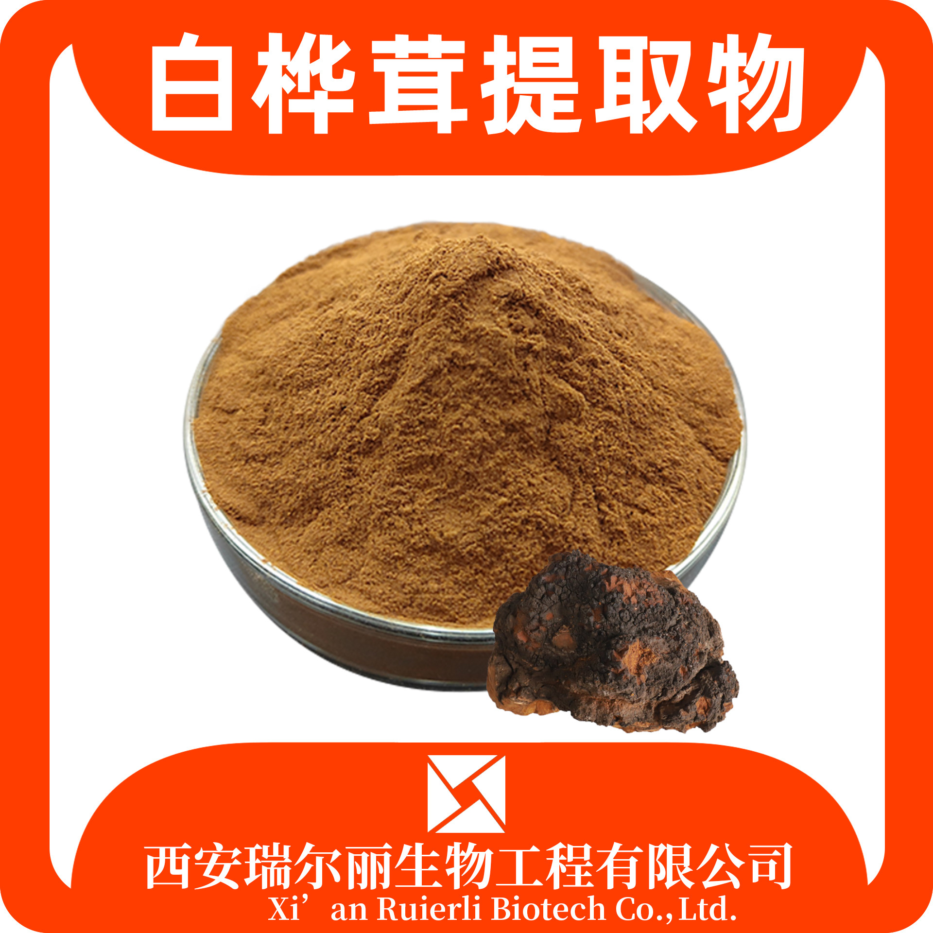 白桦茸提取物 桦树茸粉 浓缩粉 食品级 瑞尔丽生物 源头工厂