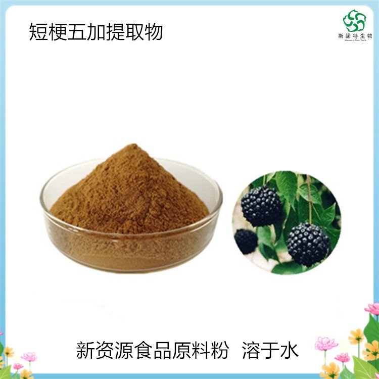 短梗五加提取物 食品级 新资源原料粉 斯诺特生物