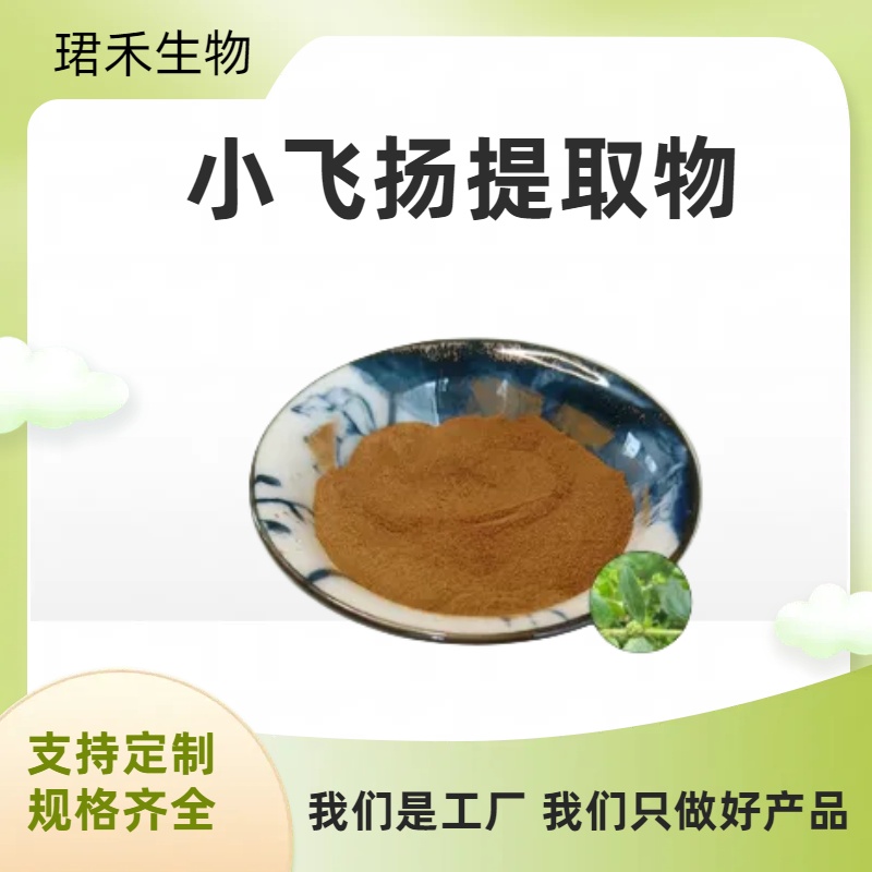 小飞扬提取物 水溶奶汁草粉 通奶草浸膏 多规格可定制