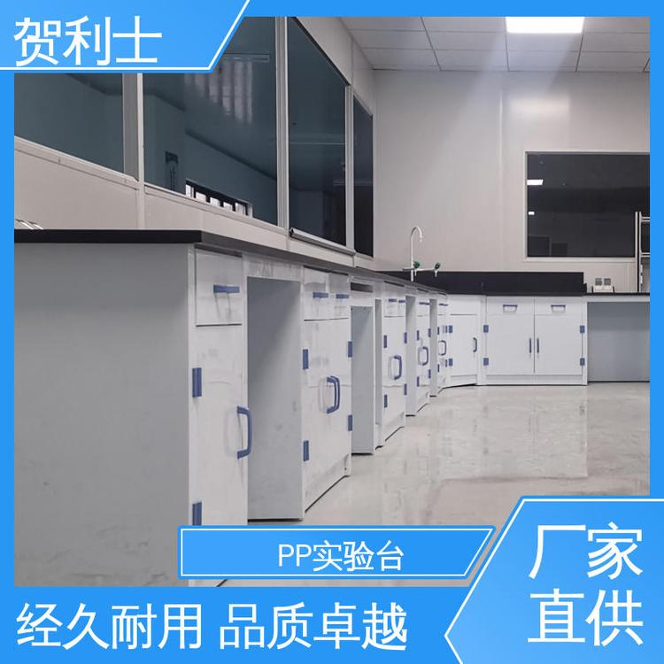 实验室边台 食品药品生产研发 可按需定制 PP实验台柜 贺利士