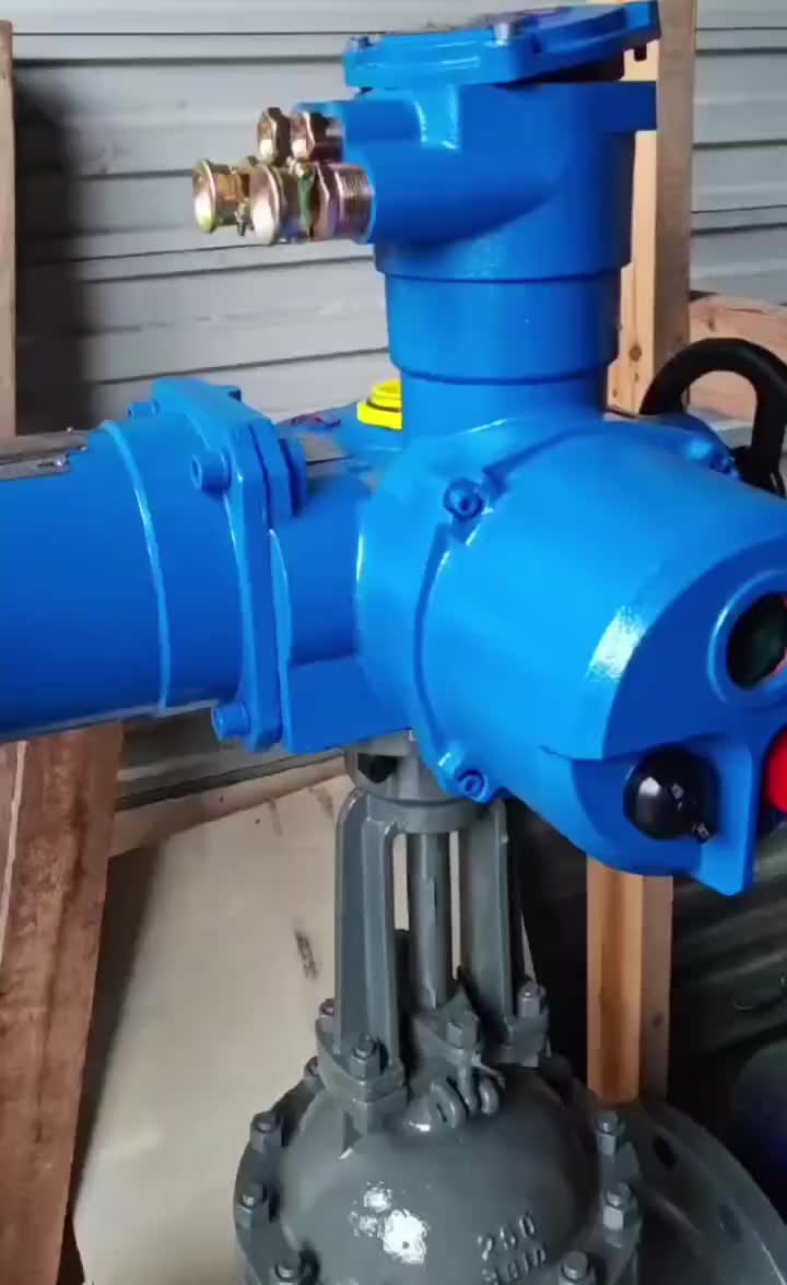视频