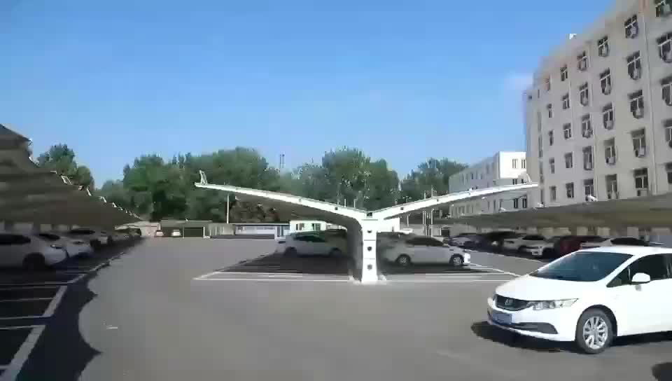 视频