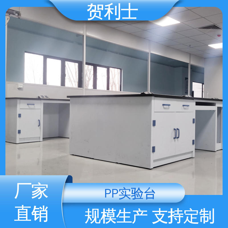 厂家直供 实验室边台 化学PP实验台 科研机构用 支持定制