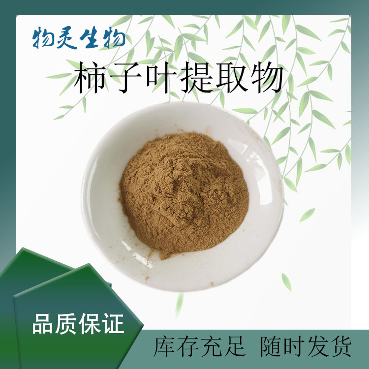 柿子叶提取物 食品级柿叶浓缩粉 多种规格 物灵生物 植物萃取 喷雾干燥