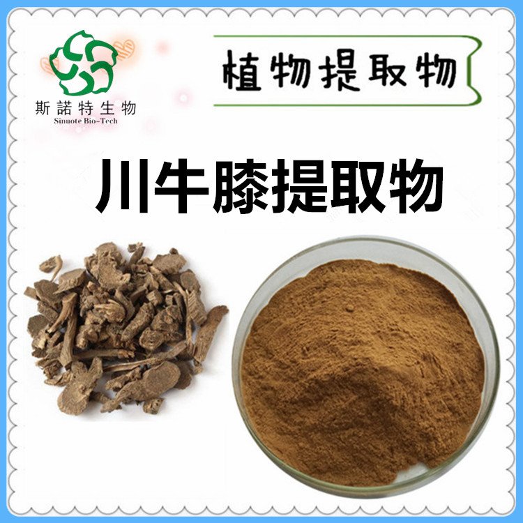 川牛膝提取物 粉状 Achyranthes Bidentata extract 斯诺特生物