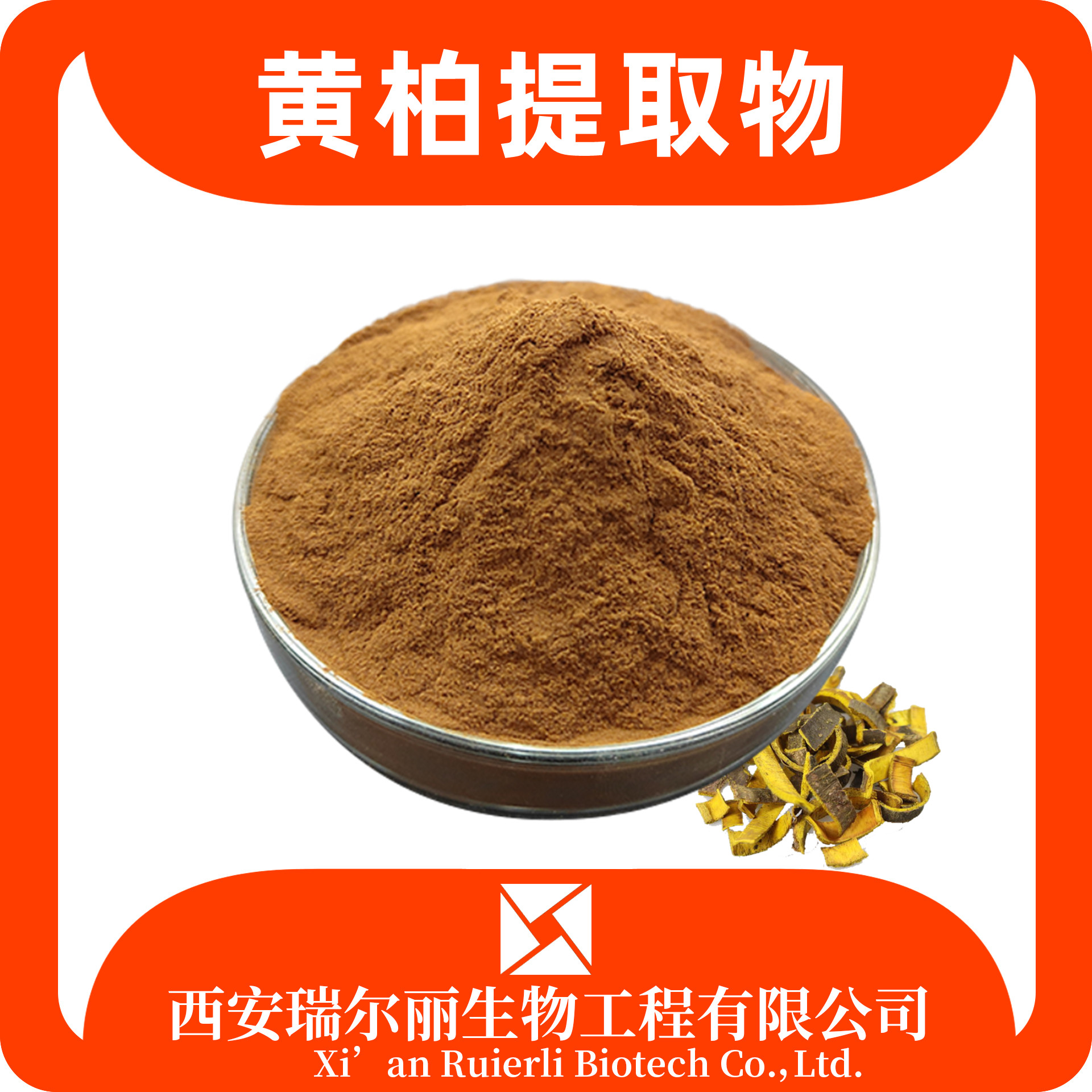 黄柏提取物10：1 黄柏皮 黄柏粉 速溶浓缩 可定制 瑞尔丽生物 源头厂家