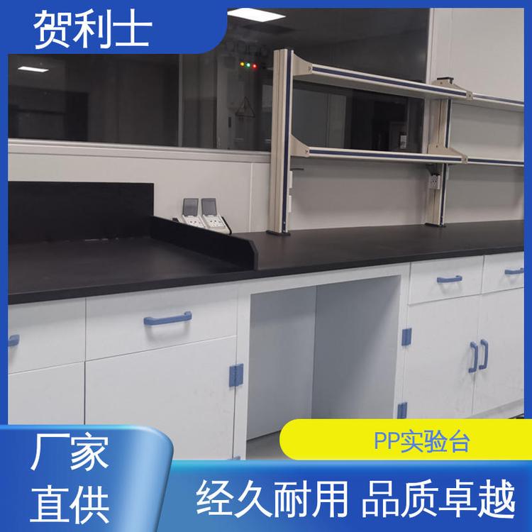 贺利士 pp实验室边台 PP化学实验台 科研机构用 按需定制加工