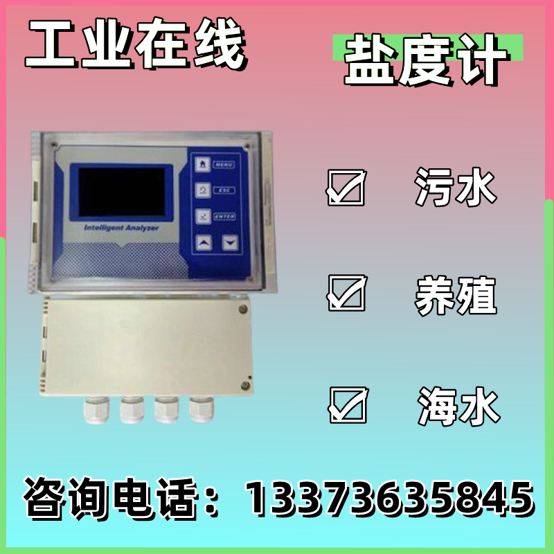 在线盐度计 水质盐分浓度实时连续监测智能盐度仪