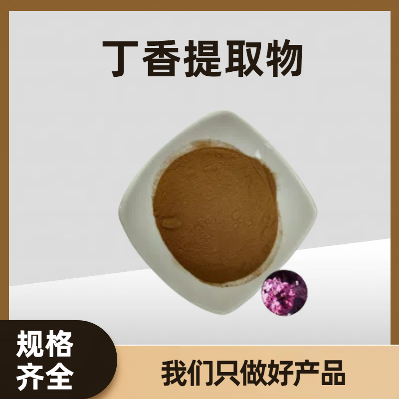 丁香提取物 丁香浸膏粉 高比例 速溶粉 浸膏 珺禾生物