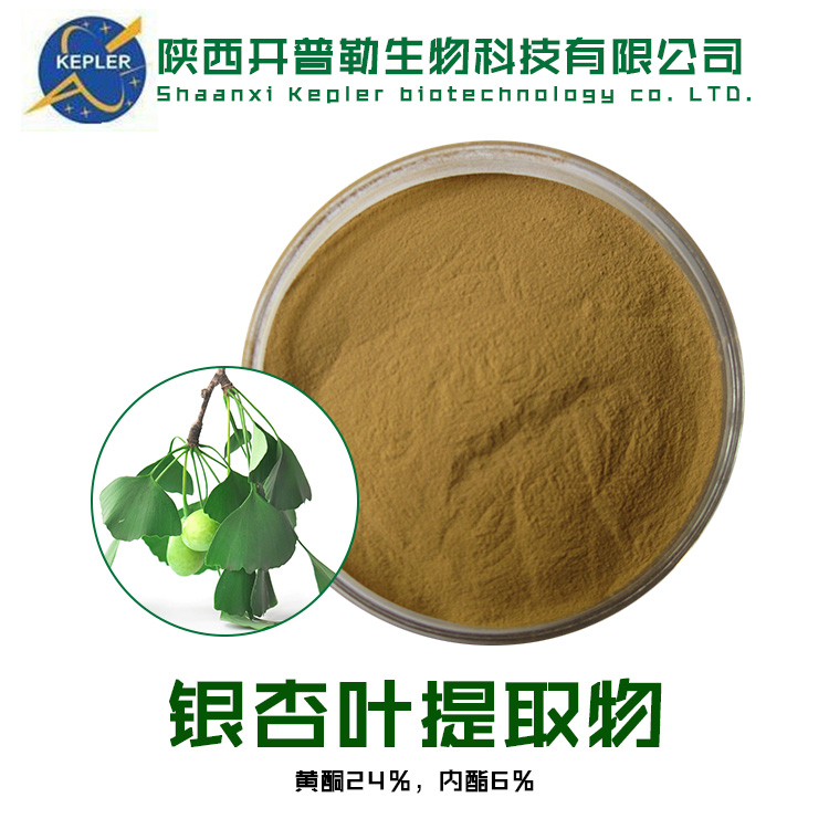 银杏叶提取物 CP2020 保健食品原料 SC备案 开普勒生物