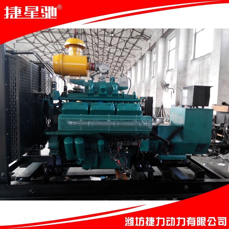 250KW 天然气 沼气 柴油 静音 发电机组 集装箱 拖车 电站