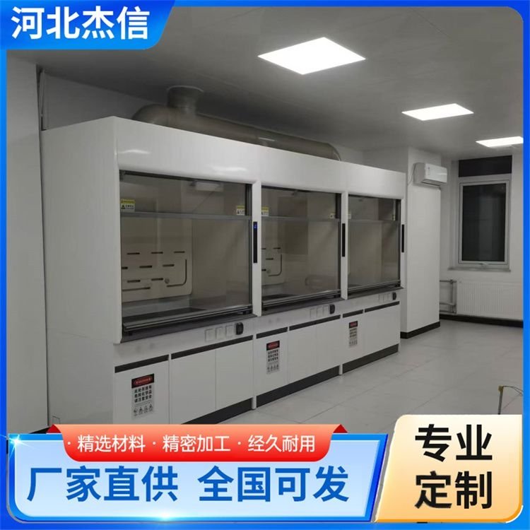 定制通风柜 杰信 全钢落地通风橱 规格齐全 品质过硬