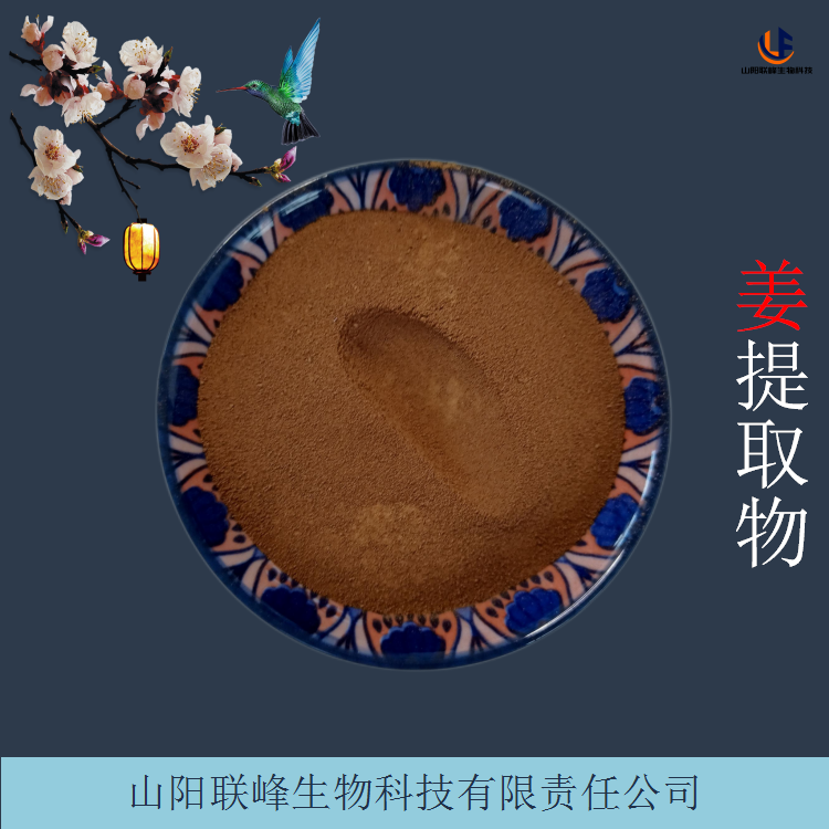 生姜提取物 浓缩干姜浸膏 水溶性生姜粉 含有姜辣素 1公斤/袋