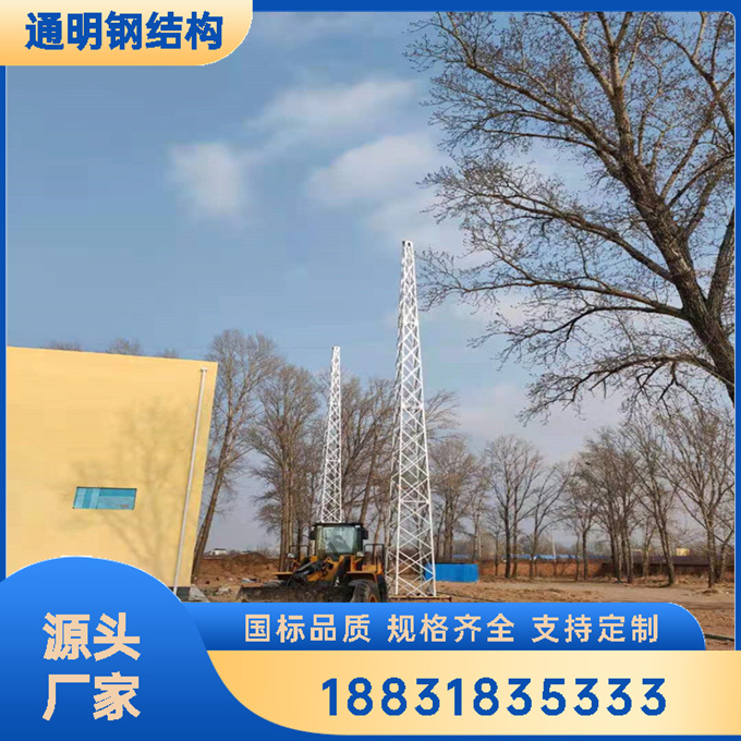 山 西避雷线塔厂家 热镀锌接闪线塔 国标材料 质量保障 通明