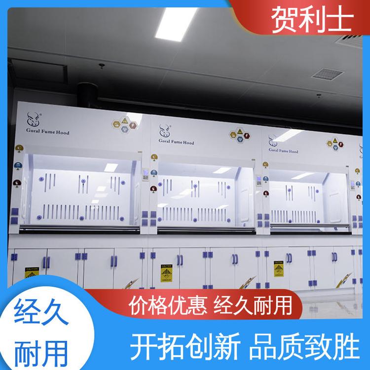 坚实耐用 匠心打造 坚固 PP净气型通风柜 防尘防静电 贺利士