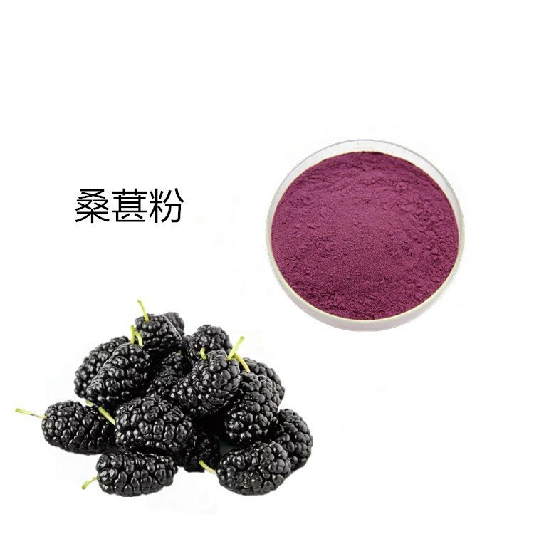 斯诺特生物 水溶精细 桑葚粉 固体饮料 一公斤打样包装