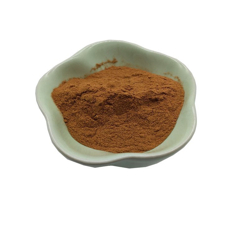 牛肝菌多糖 斯诺特 食品级原料 资质齐全 常年供应