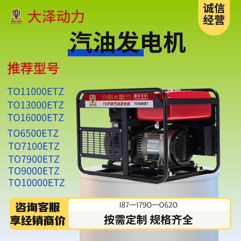 低温启动 出口10KW汽油发电机组 TO11000ET-Z大泽动力 双缸 手推式