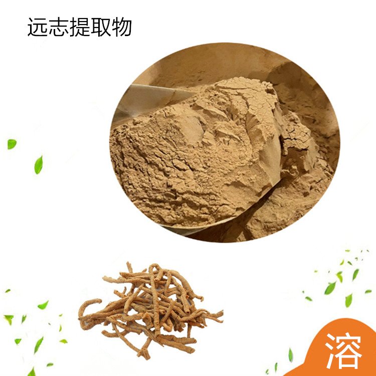 远志提取物 含皂甙 粉末 出厂合格 灭菌纸板桶包装