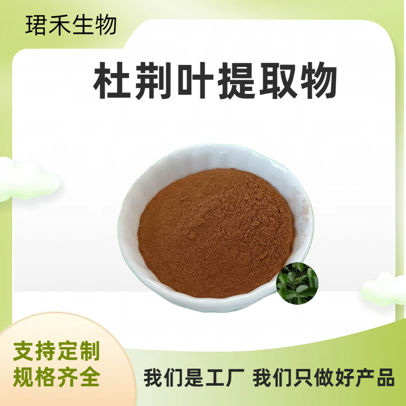 牡荆叶提取物 浓缩黄荆叶浸膏 午时草浓缩粉 可按需定制 食品级原料