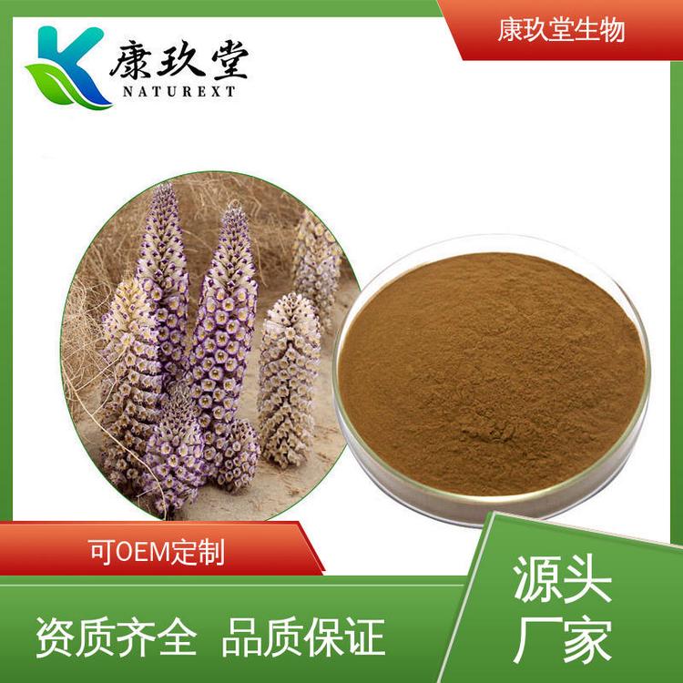 康玖堂 Cistanche Extract 棕色粉末 肉苁蓉植物提取物 设备先进