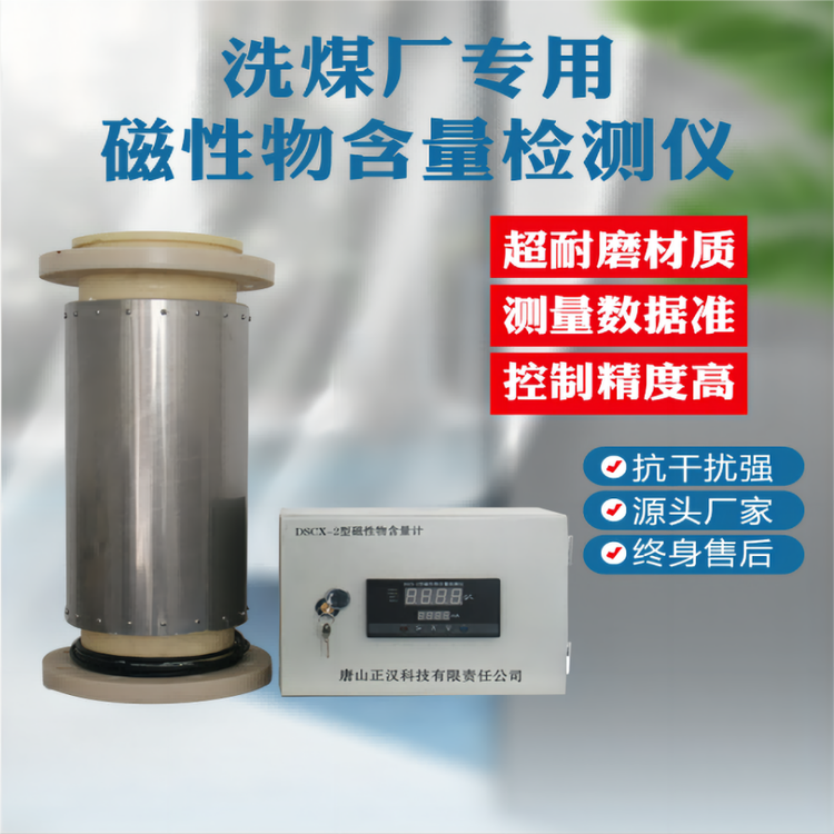 选煤设备源头厂家洗煤厂专用DSCX-2磁性物含量计