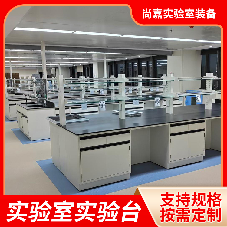 尚嘉 全钢实验台 通风橱柜 防划痕易清洗 用途广泛