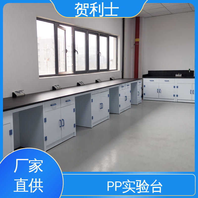 厂家直供 化验台 PP实验台柜 适用有机实验室 可按需定制