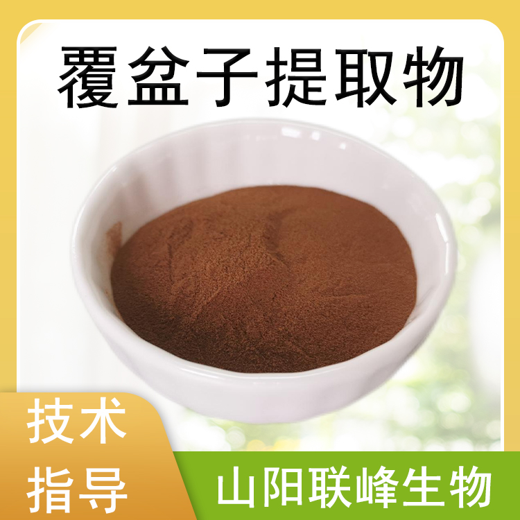 覆盆子提取物 覆盆子酮 10：1覆盆子粉 固体饮料原料 水溶 1000g/袋