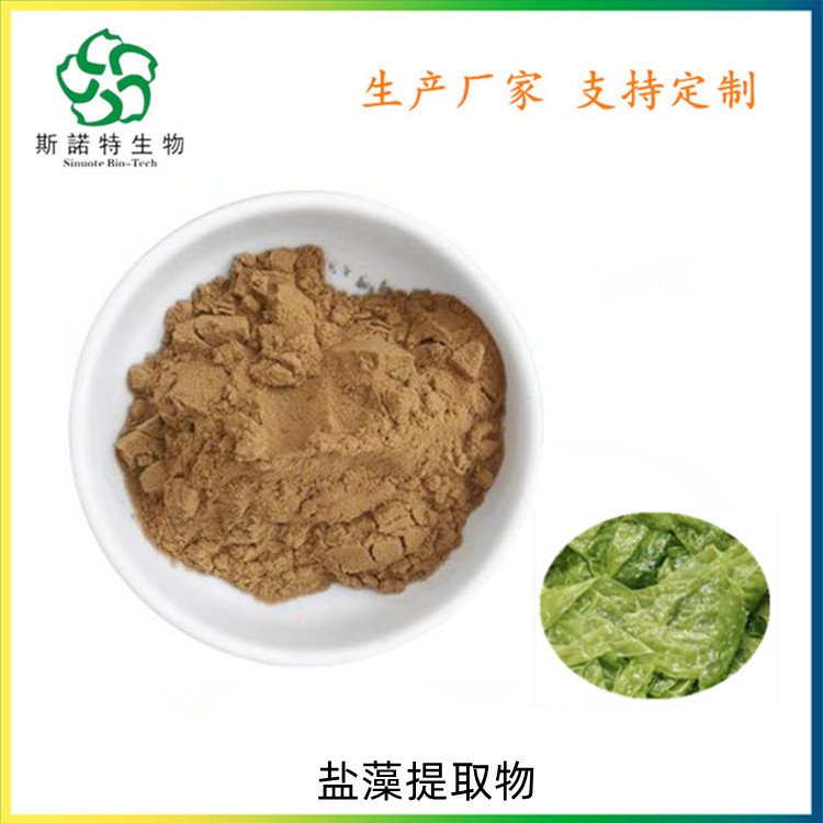 斯诺特 盐藻提取物 精细粉末 新资源食品 原料粉