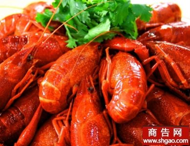 三喜龙虾