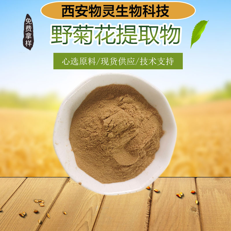 野菊花提取物 水溶性棕黄色粉末 植物萃取 食品级原料 1kg起批