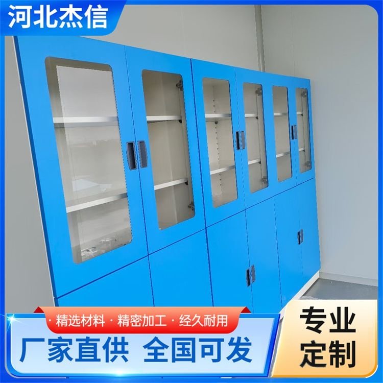 防腐全钢试剂柜 酸碱柜药品危化品柜 类型齐全 品质保证
