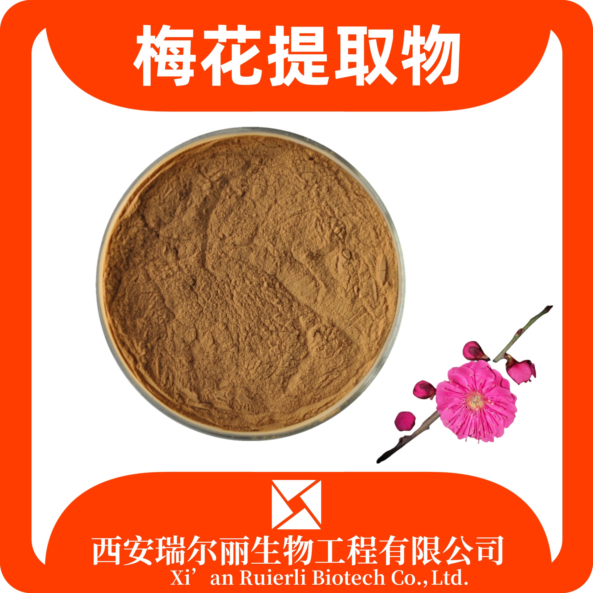 梅花提取物10:1 速溶梅花粉 食品原料 速溶浓缩 瑞尔丽生物