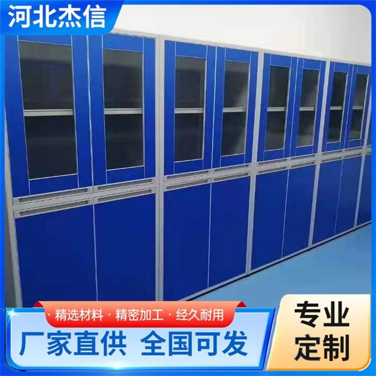 独立全木试剂柜 实验室安全柜危化品柜 全国可发 标准国标