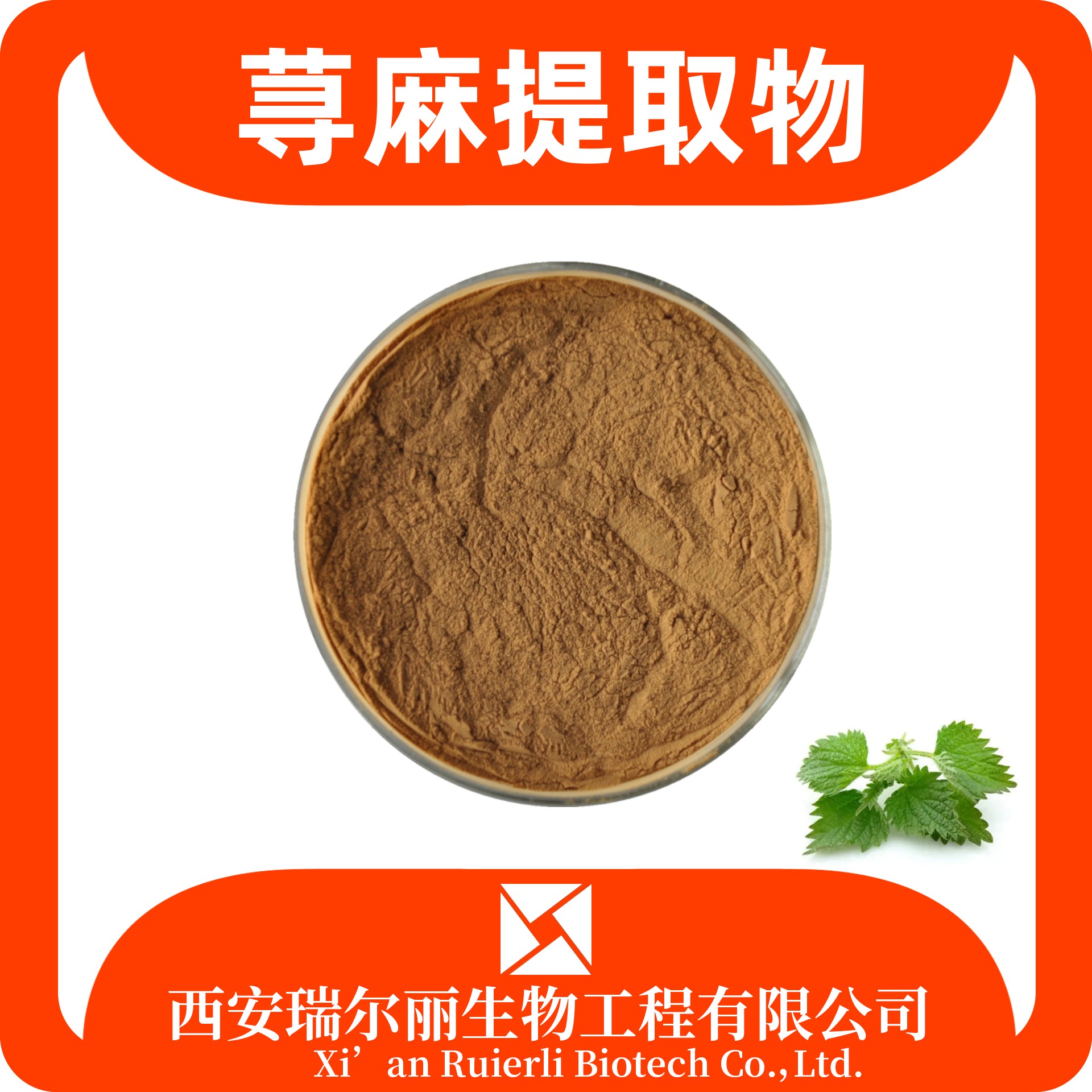 荨麻提取物 荨麻粉 速溶浓缩 SC证可定制 食品原料 瑞尔丽生物