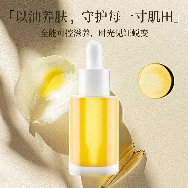 定制 灵芝孢子精华油OEM提亮强韧修护精油山茶籽养肤油 加工厂