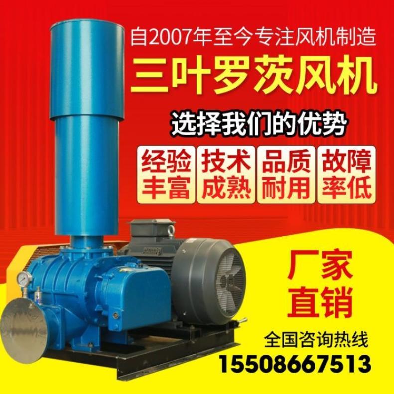 昶盛品牌 三叶罗茨风机 CSR系列 口径50-350型 规格齐全 诚信经营