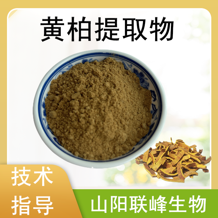 黄柏提取物 10:1黄柏碱浓缩粉 水提 植物原料粉 联峰生物 多规格可定制