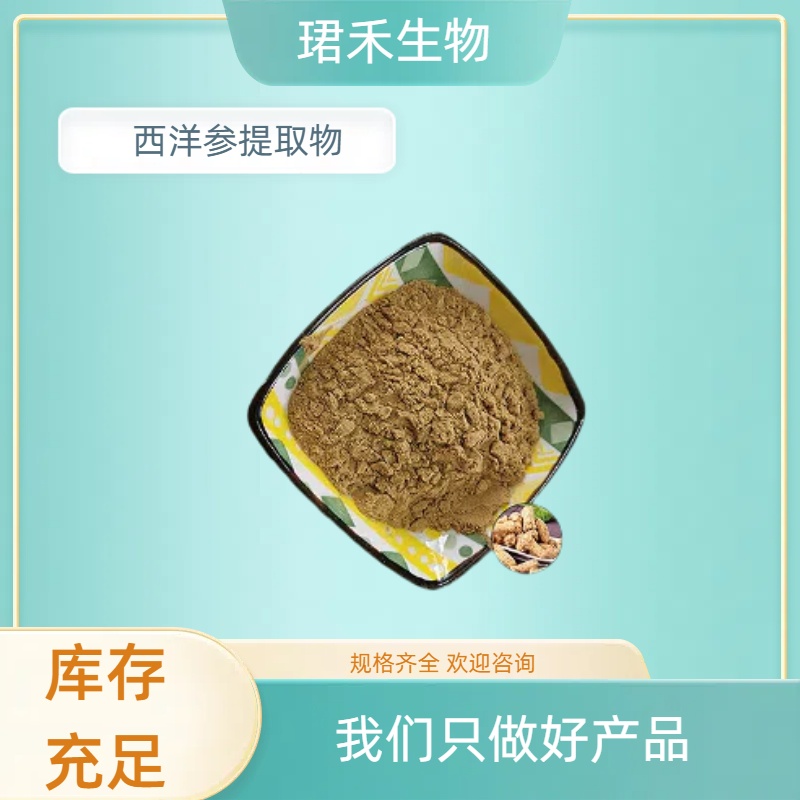西洋参提取物 西洋参皂甙80% 食品原料 品质稳定 可寄样