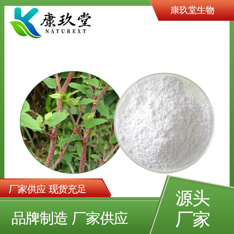 生产厂家 25公斤/桶 虎杖植物提取物 设备先进 康玖堂