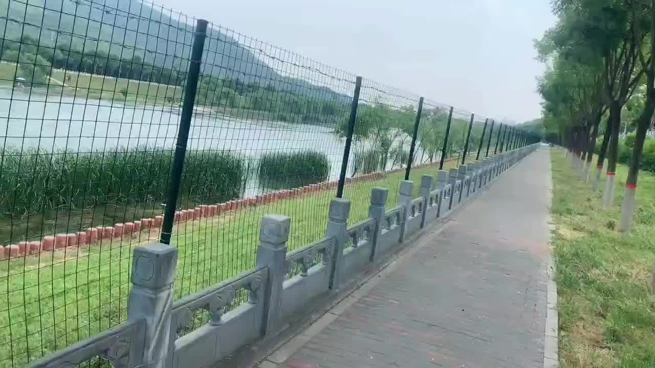 视频