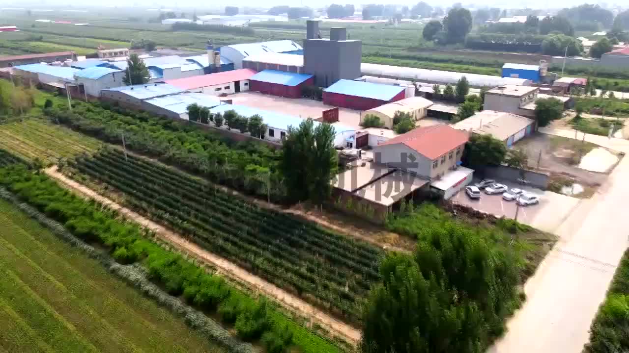 视频