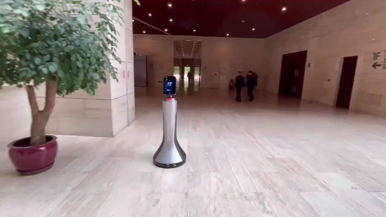 视频