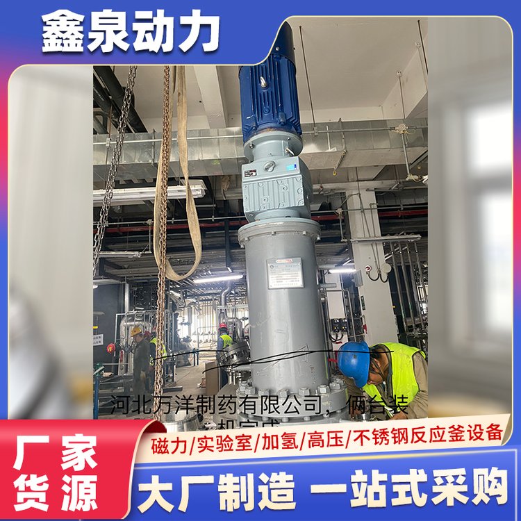 端部平盖结构磁力驱动反应釜 500l钛材高压釜设备定制厂家