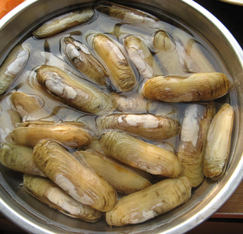皇牌海产品