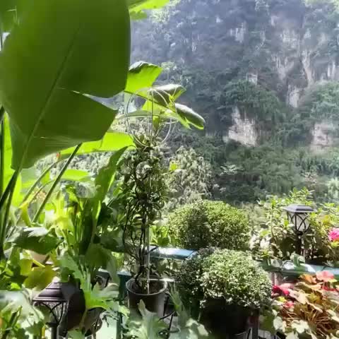 视频