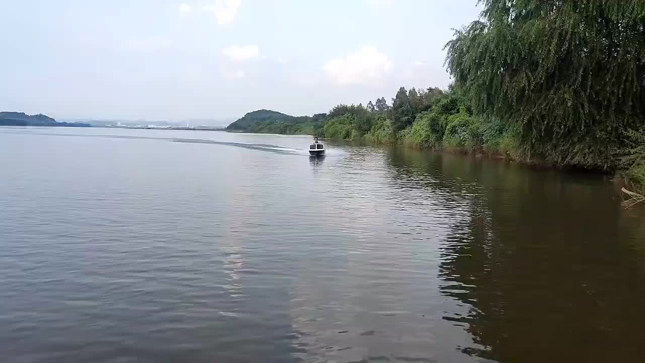 视频