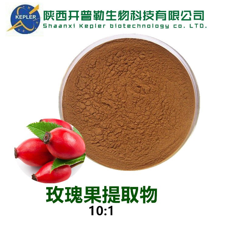 玫瑰果提取物10:1 玫瑰果多酚 玫瑰果粉 KPL-0038
