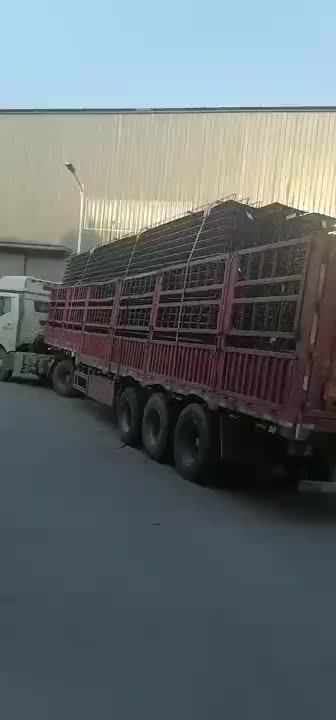 视频